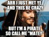 wpid-johnny-depp-jack-sparrow-call-me-maybe-pirate-meme.jpg